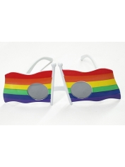 Rainbow Flag Glasses - Mardi Gras Glasses